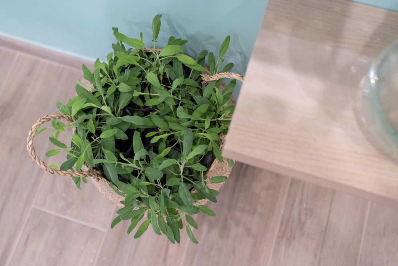 Viva Apartment Sorrento Kültér fotó